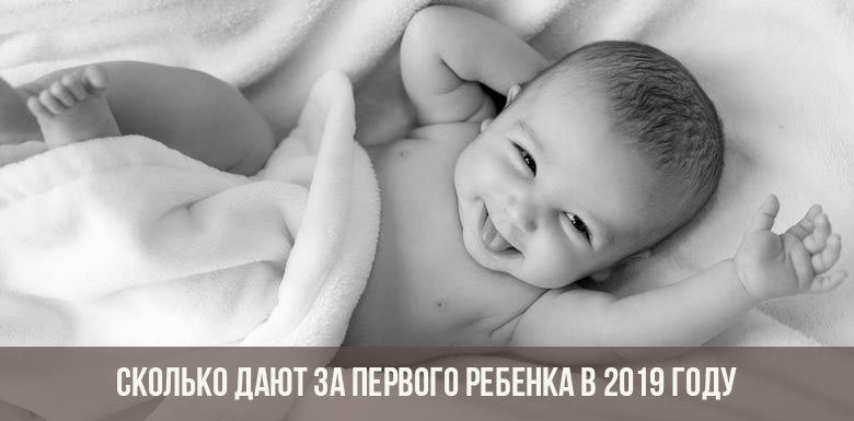 Путинские выплаты при рождении первого ребенка 2019: как оформить, какие нужны документы?