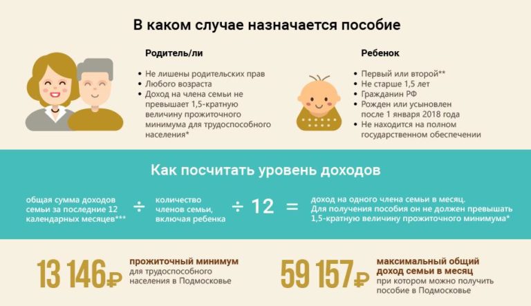 Путинские выплаты при рождении первого ребенка 2019: как оформить, какие нужны документы?