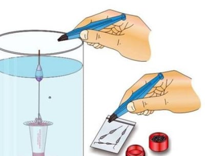 Расстояние от крючка до грузила на удочке