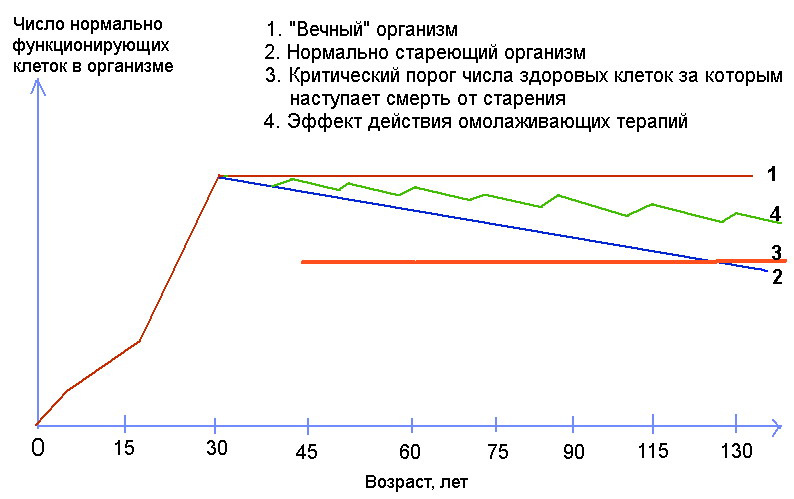 Разработана умная система, предсказывающая смерть