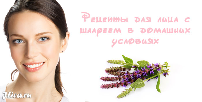 Ромашка для лица: популярные способы ухода за кожей