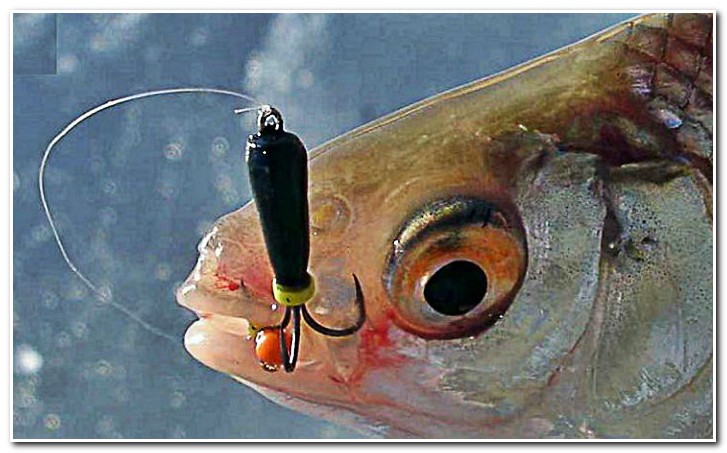 Рыбалка на черта зимой