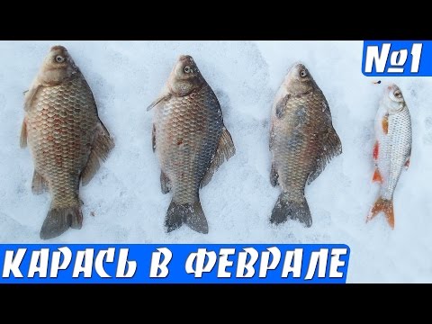 Рыбалка на карася в феврале