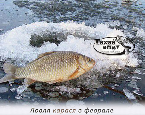 Рыбалка на карася в феврале