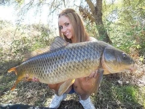 Рыбалка на карпа в июле
