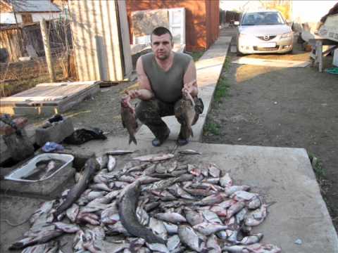 Рыбалка на нижней волге