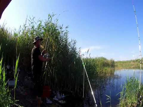 Рыбалка в алматинской области