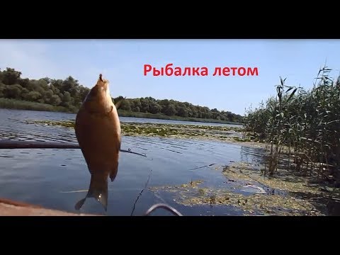 Рыбалка в июле