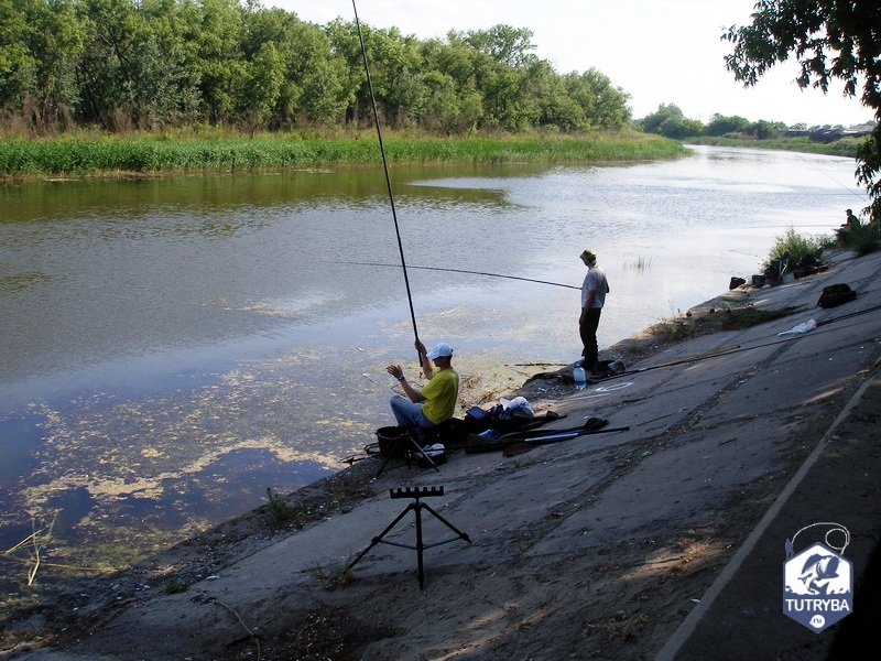 Рыбалка в курганской области