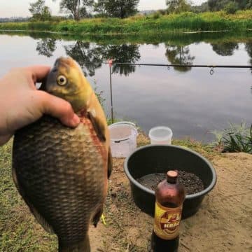 Рыбалка в липецкой области