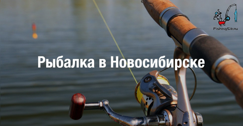 Рыбалка в новосибирской области и в городе