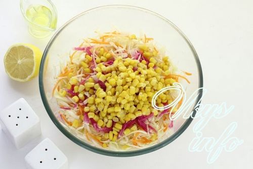 Салат из свежей капусты и свежей моркови: рецепты с яблоком, перцем, огурцом, с уксусом, майонезом, сметаной, пищевая ценность, противопоказания