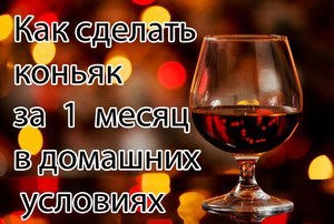 Самогон из вина (домашнего и покупного) — инструкция и технология перегонки в домашних условиях