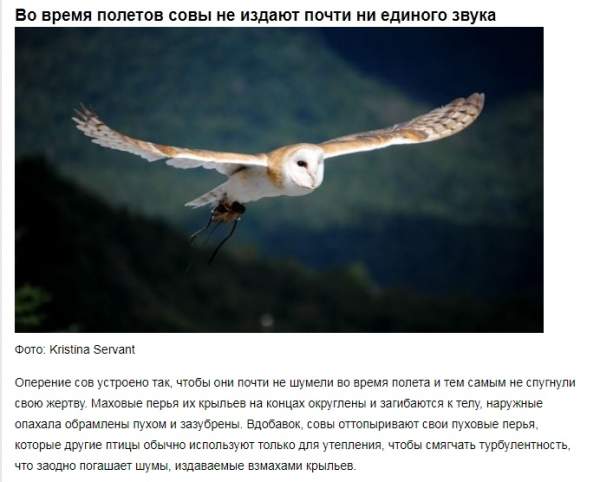 Самые невероятные факты