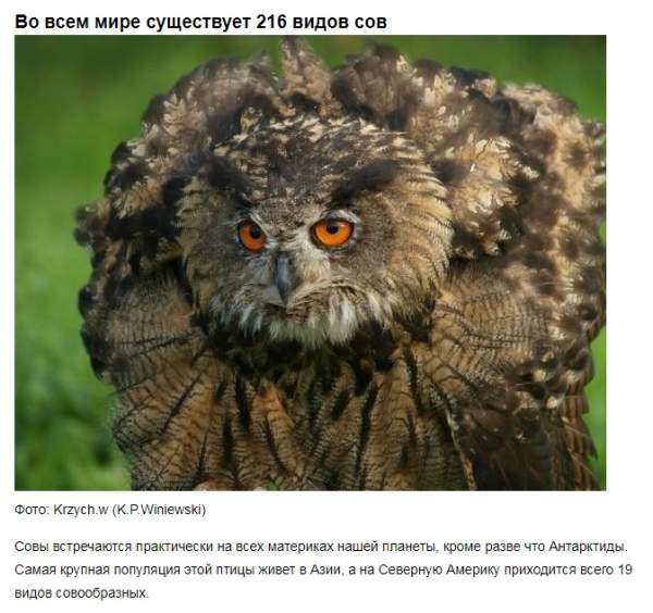 Самые невероятные факты