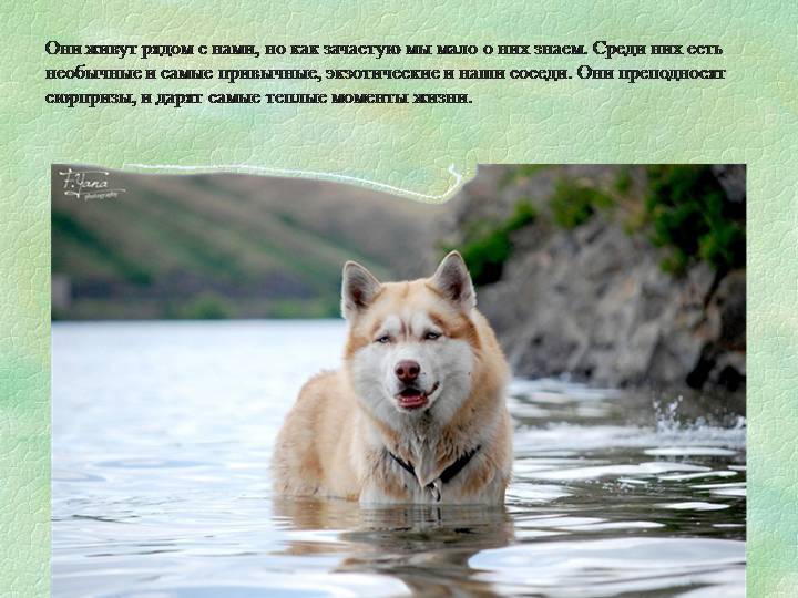 Самые невероятные факты
