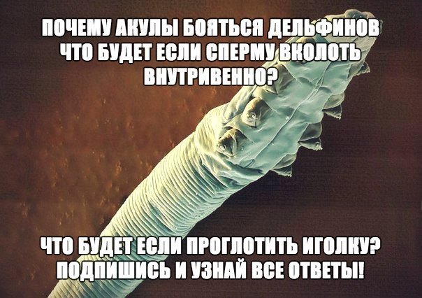 Самые невероятные факты