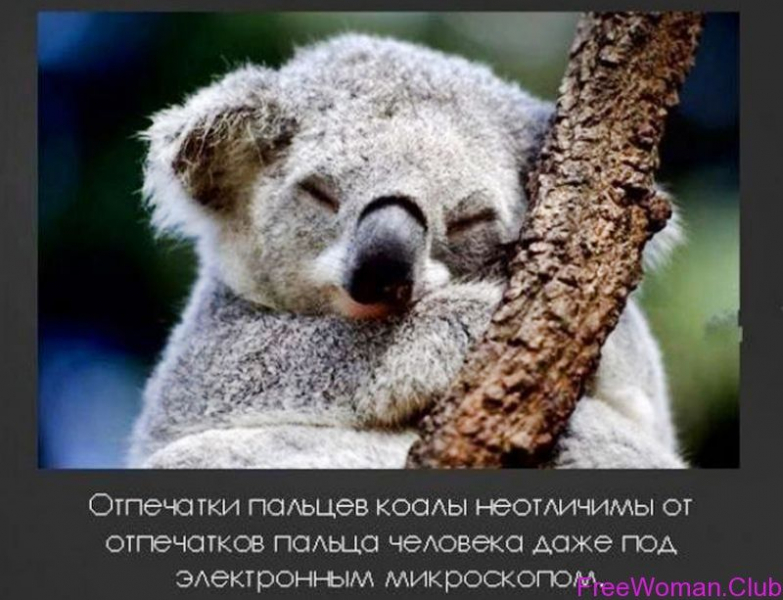Самые невероятные факты