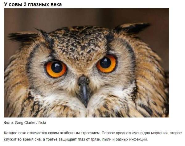 Самые невероятные факты