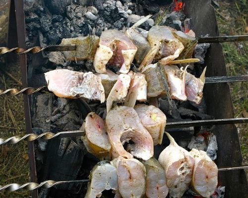 Шашлык из щуки