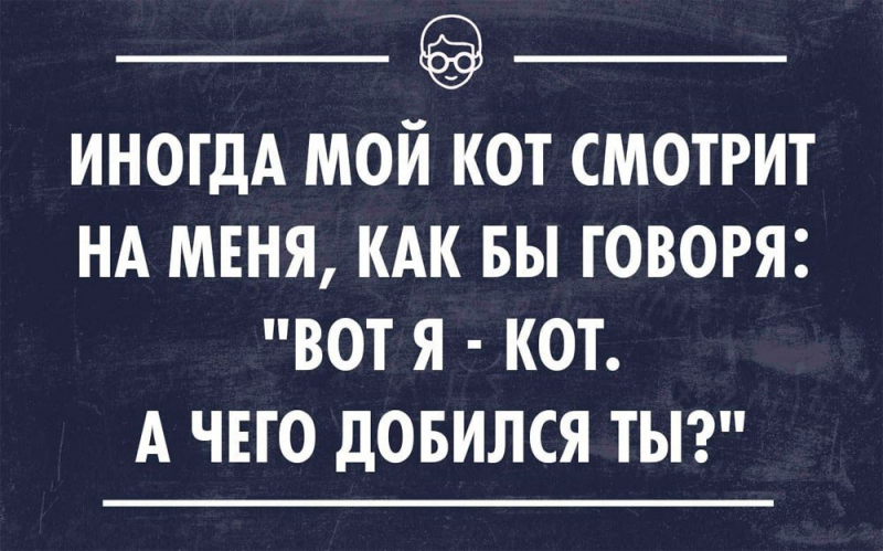 Швейная машина и дикари интересные факты