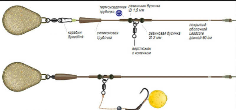 Снасти для ловли карпа и сазана