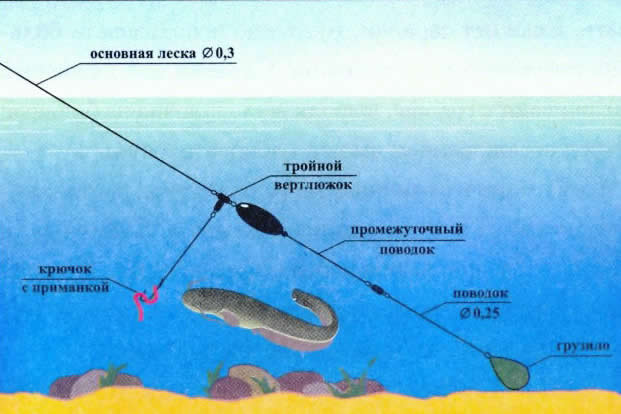 Снасти для рыбалки на сома