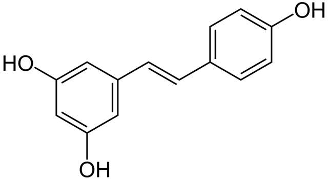 Состав вина: содержание кислот, витаминов и микроэлементов в напитке