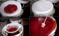 Советы и секреты изготовления домашнего вина из терна от опытных виноделов