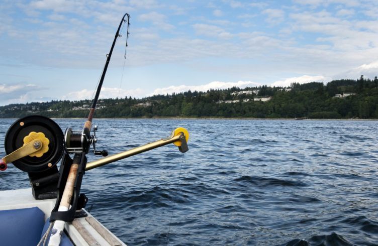 Спиннинги daiwa strike force trolling special