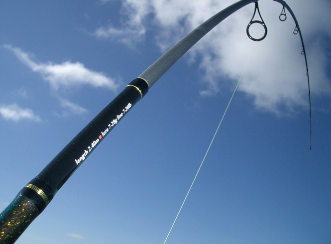 Спиннинги для фидерной ловли