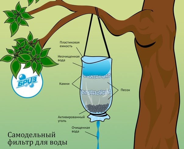 Способы очистки воды в природных условиях