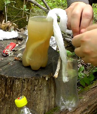 Способы очистки воды в природных условиях
