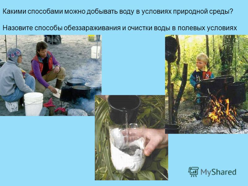Способы очистки воды в природных условиях