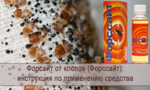 Средства форсайт от тараканов