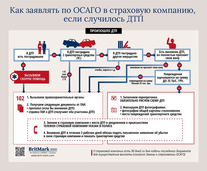Страховая задерживает выплату по осаго: жалоба и порядок действий