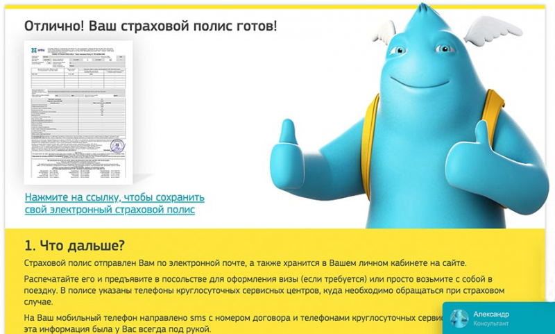 Страхование путешественников на сервисе «черепаха»: калькулятор стоимость полиса для визы, плюсы и минусы, отзывы