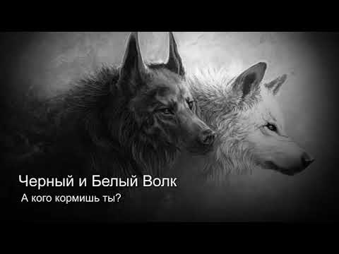 Тест, заставляющий задуматься