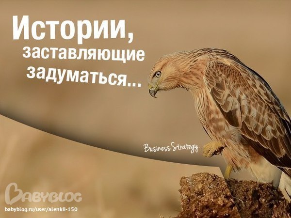 Тест, заставляющий задуматься