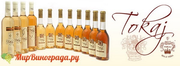 Токайские вина Венгрии: понятие и культура пития