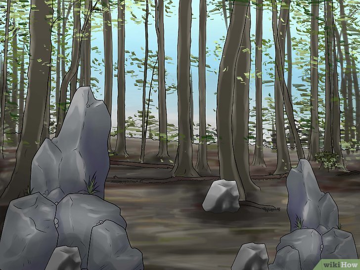 Убежище в лесу