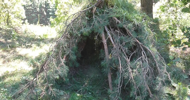 Убежище в лесу