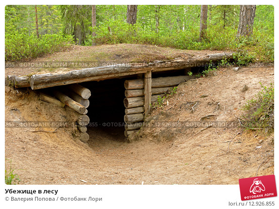 Убежище в лесу