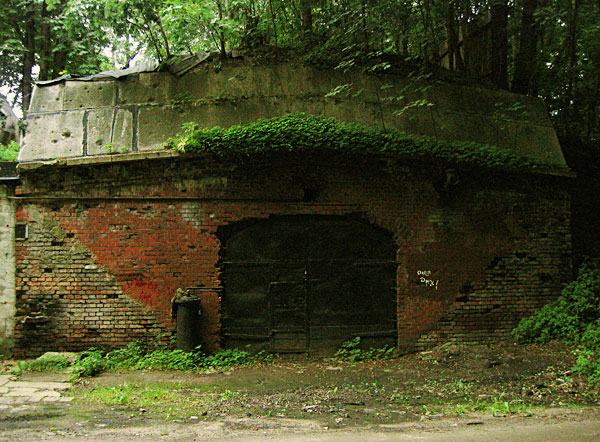 Убежище в лесу