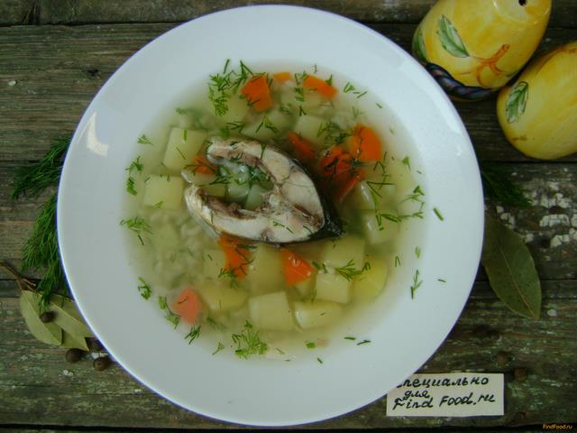 Уха из карпа