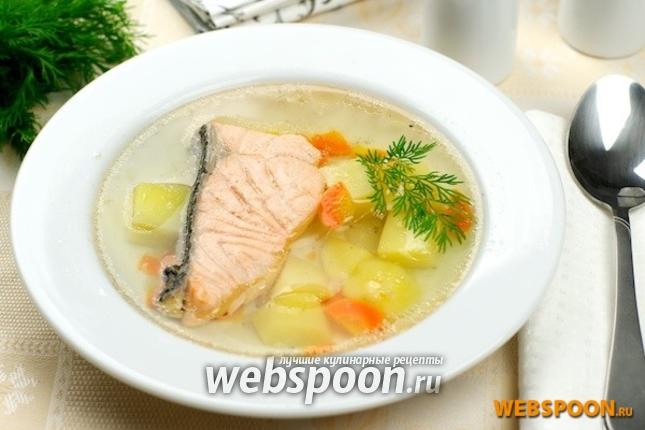 Уха из красной рыбы