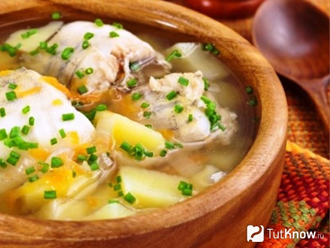 Уха из красной рыбы