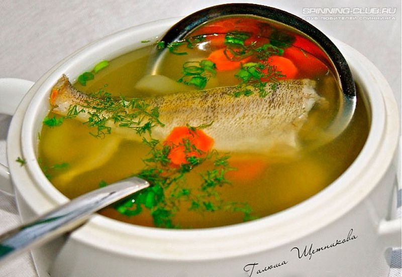 Уха из окуня