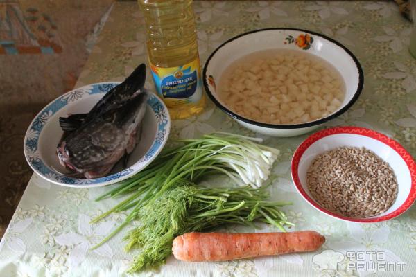 Уха из щуки