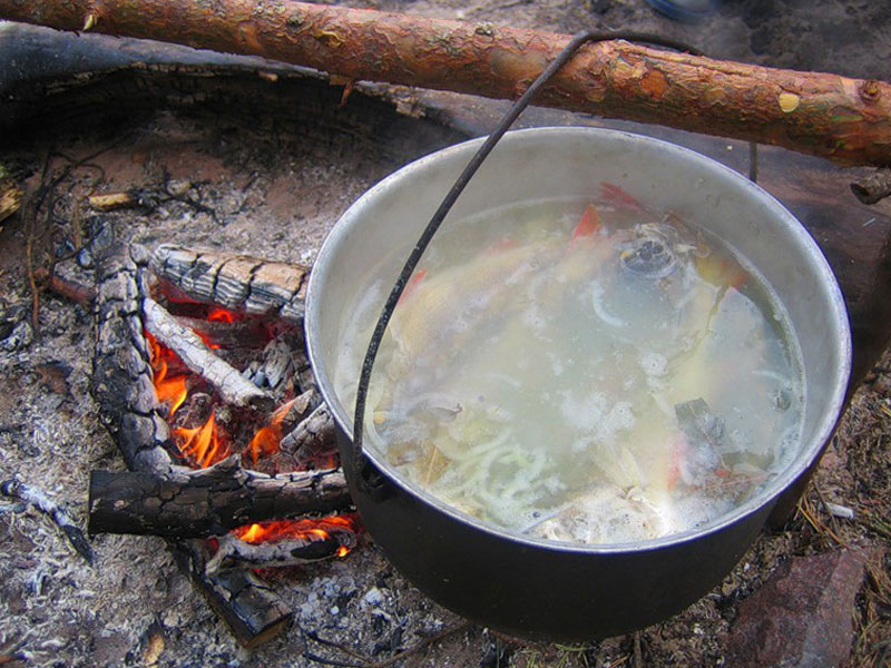 Уха на костре: простой и вкусный рецепт